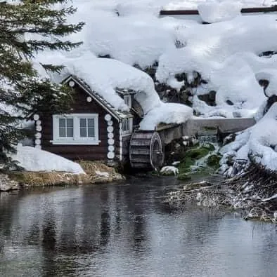 Family visiting Yellowstone with kids
