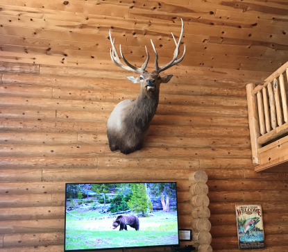 Spacious living room with stunning mountain views and 65-inch Smart TV