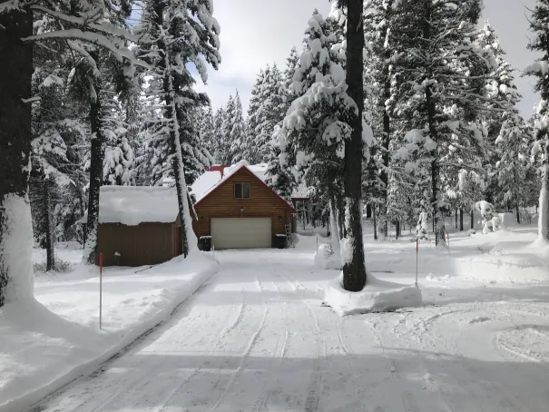 Island Park cabin in winter with snow-covered trees