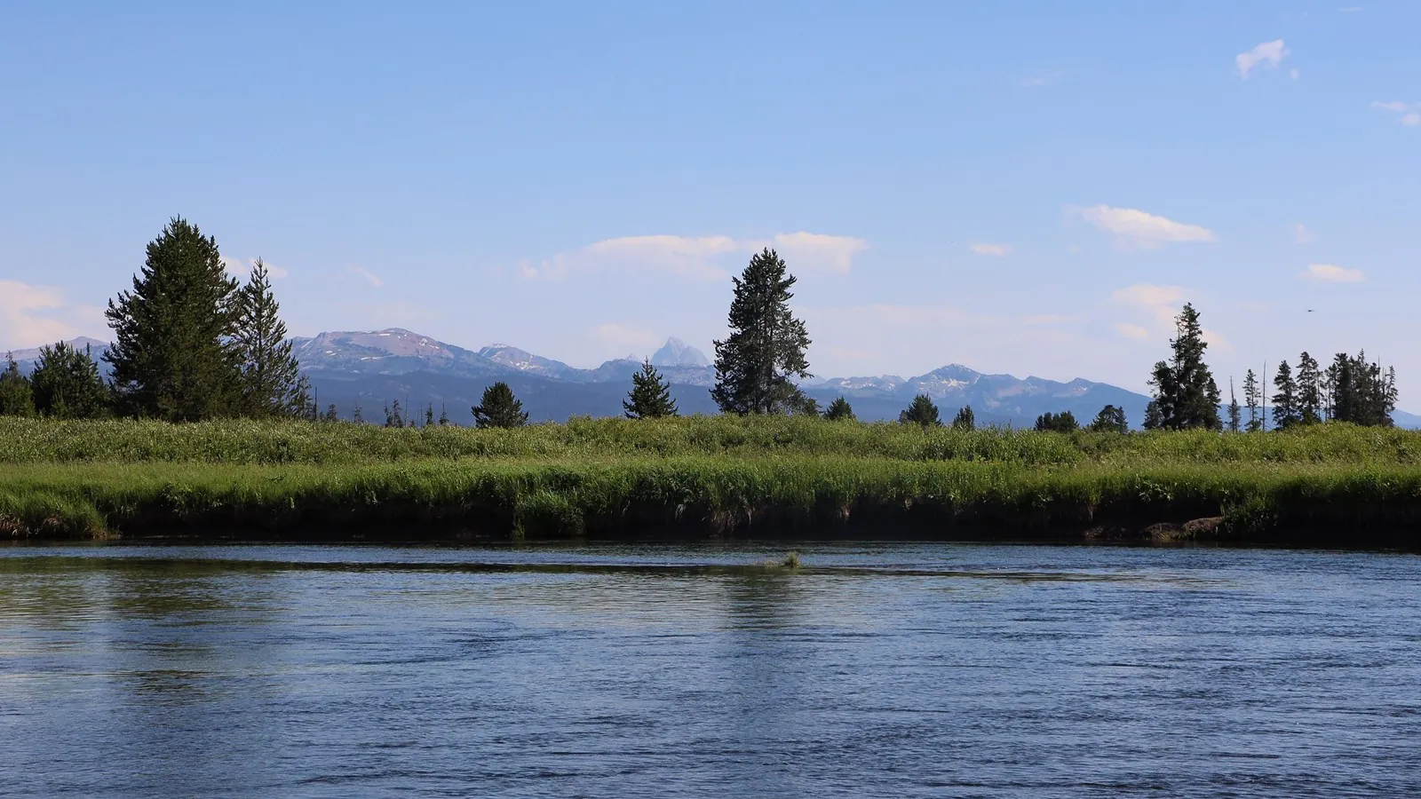 Bechler River trail in Yellowstone backcountry
