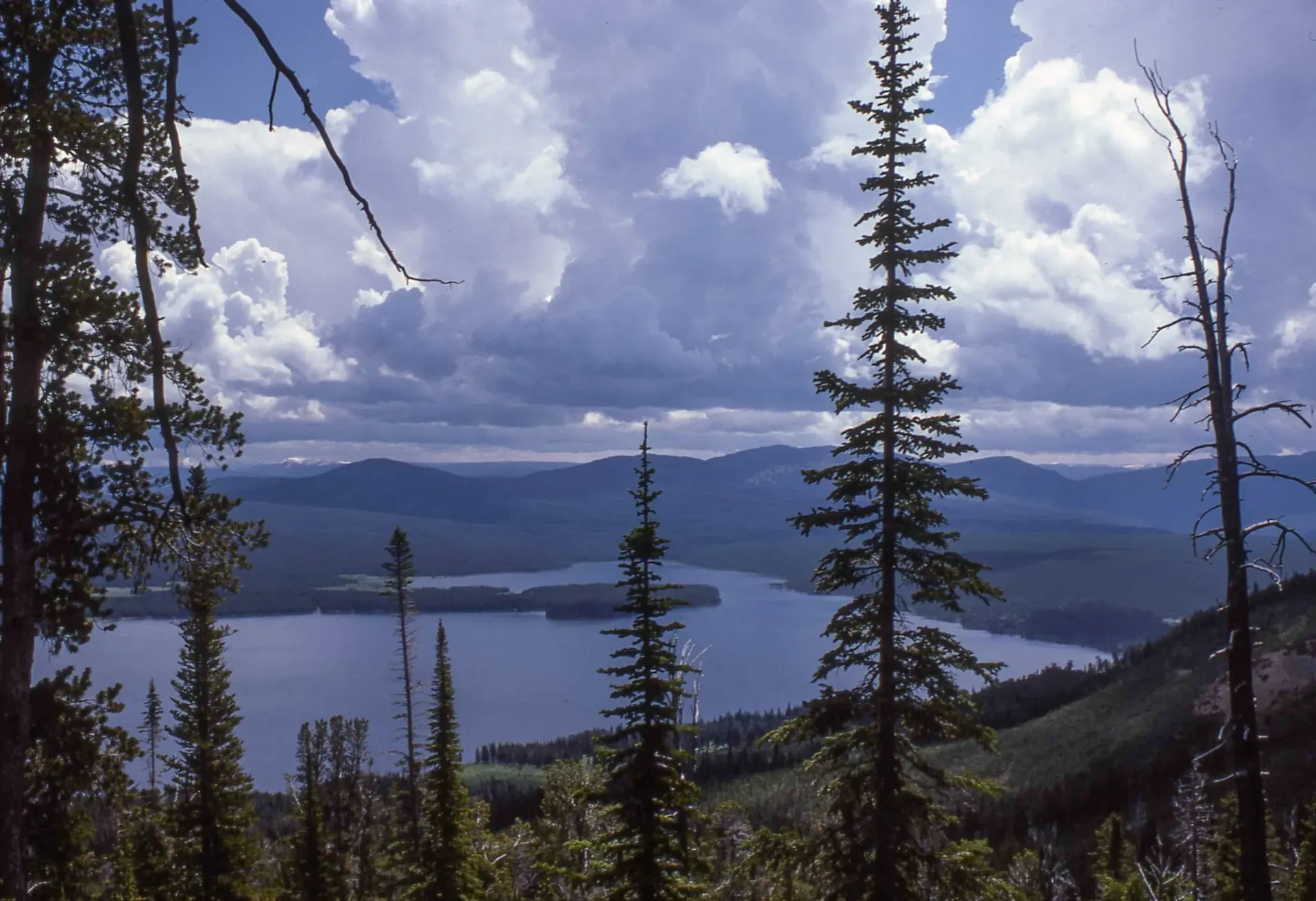 Heart Lake backcountry area in Yellowstone