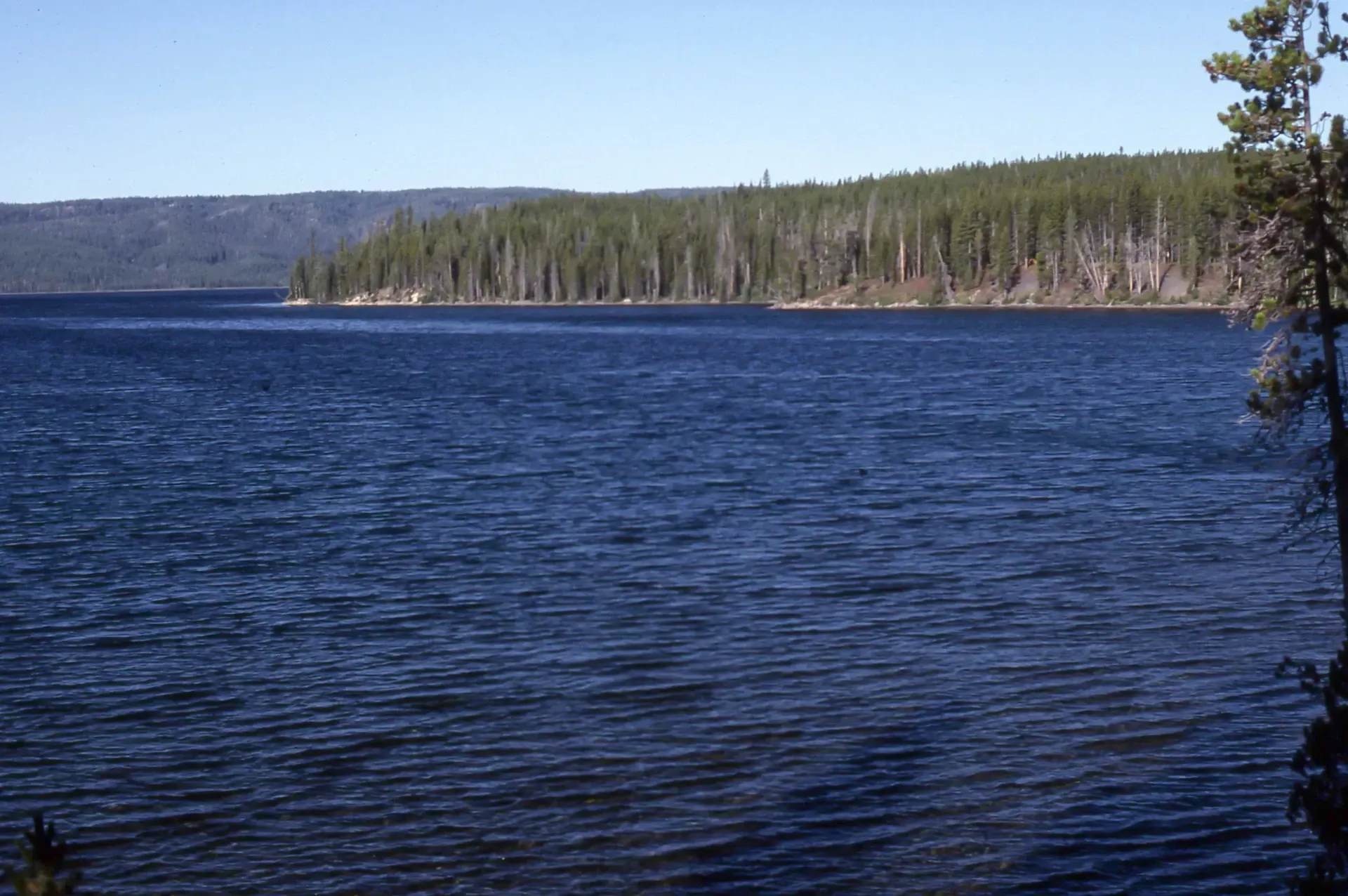 Shoshone Lake in Yellowstone backcountry