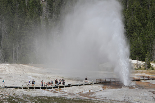 Beehive Geyser erupting with visitors watching from boardwalk