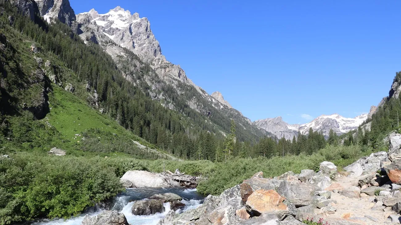Cascade Canyon trail winding between dramatic Teton peaks with wildflowers