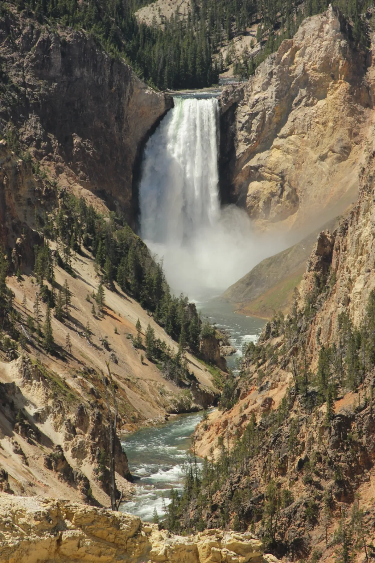 Lower Falls of the Grand Canyon of the Yellowstone with rainbow mist
