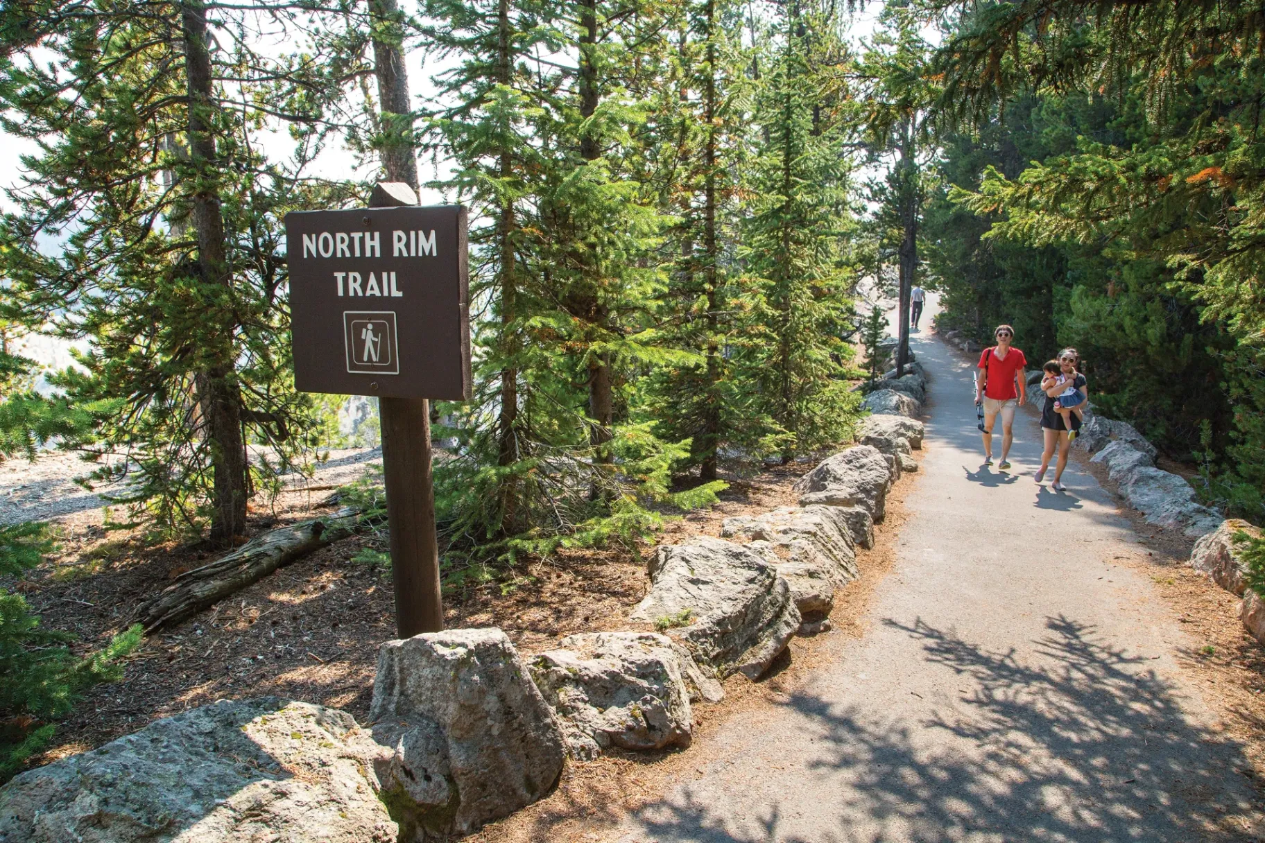 View from North Rim Trail overlooking the Grand Canyon of the Yellowstone