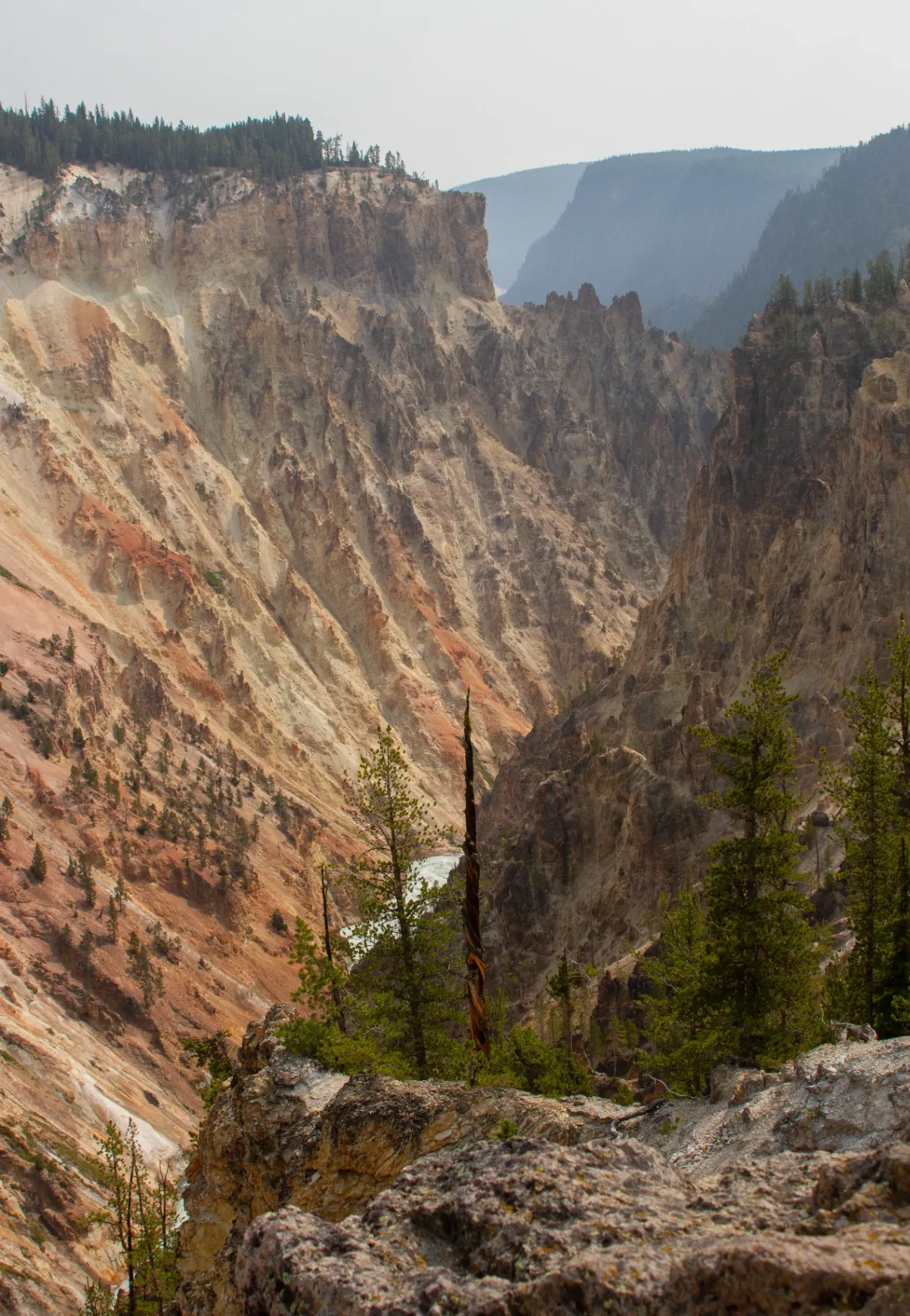 Yellowstone River in Hayden Valley — prime bald eagle fishing territory