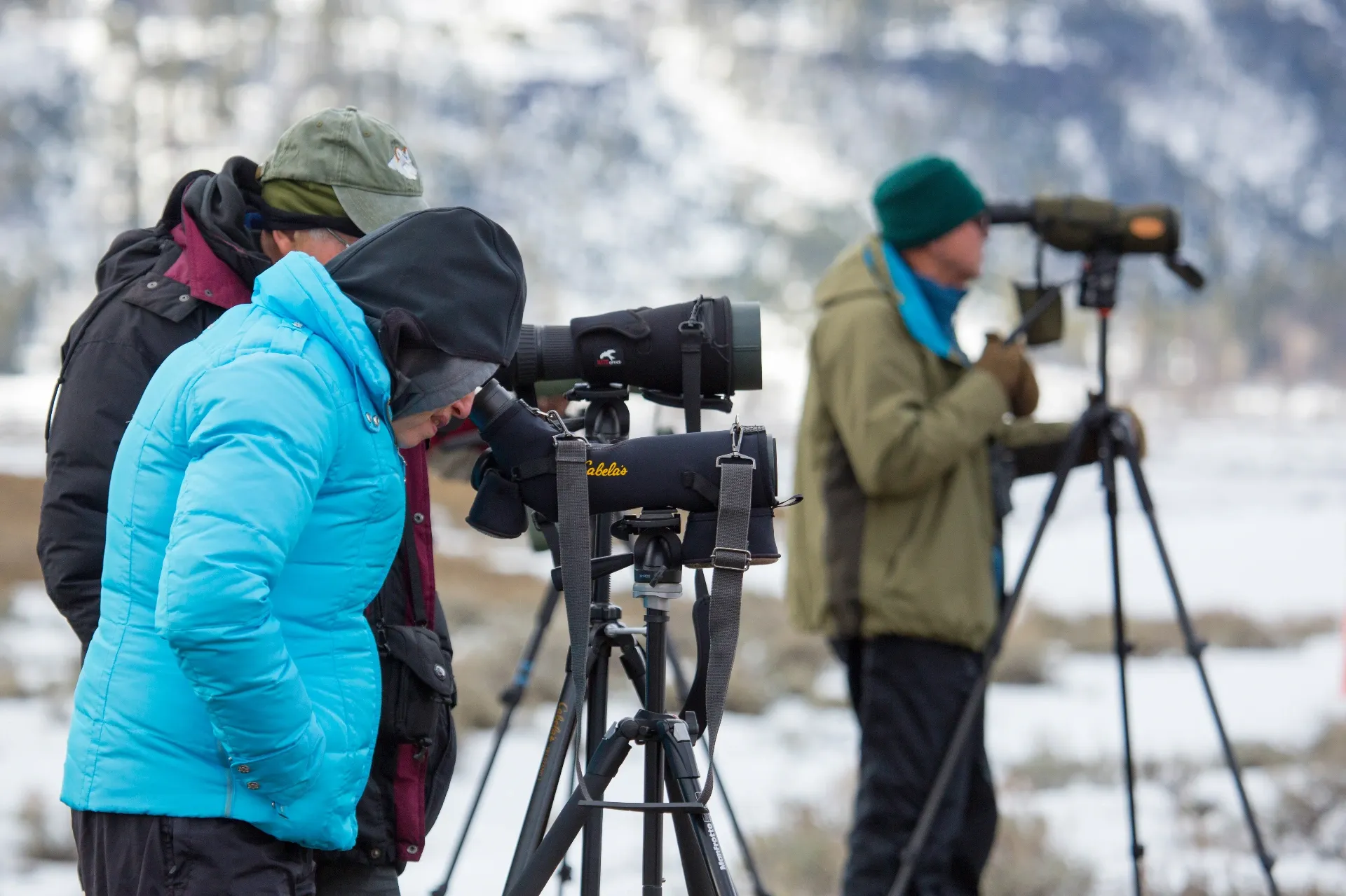Visitors with spotting scopes watching wildlife in Yellowstone's Lamar Valley