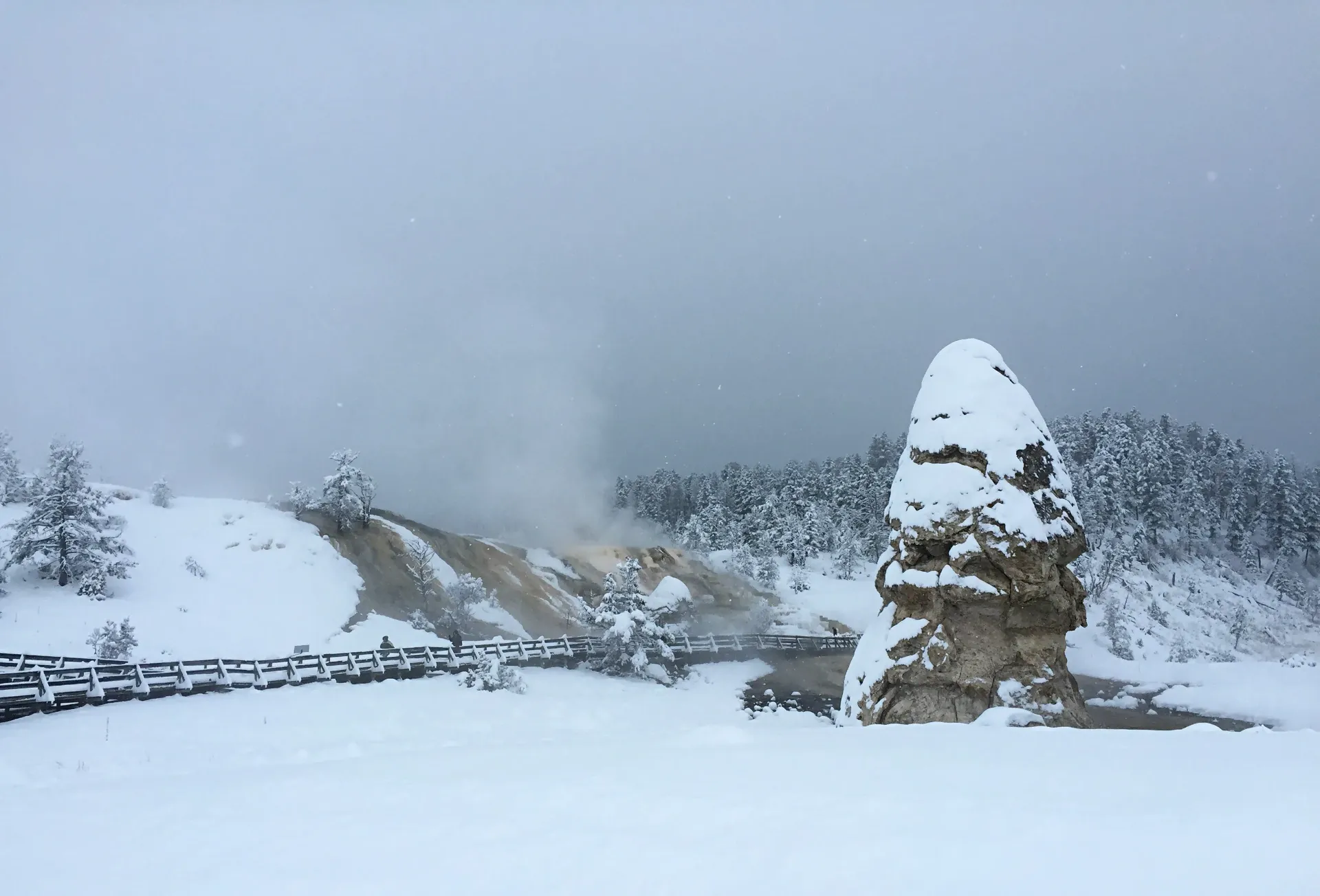 Mammoth Hot Springs area in winter with snow-covered landscape and thermal features steaming