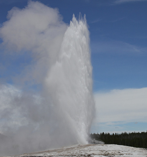 Old Faithful eruption in Yellowstone