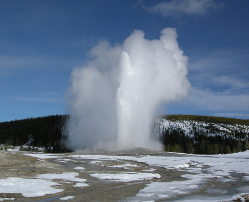 Old Faithful erupting with patchy snow covering the geyser basin