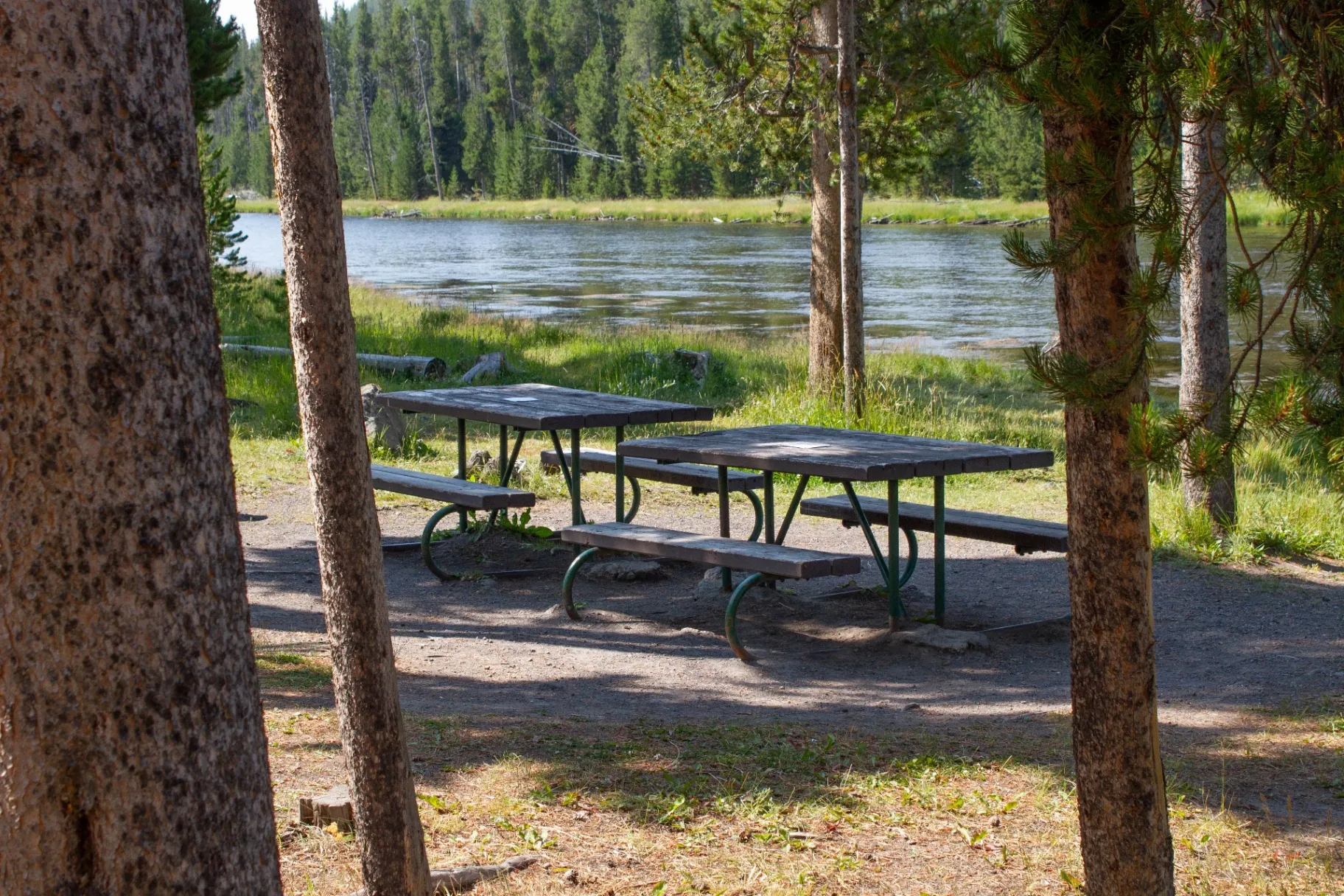 Picnic area along the Firehole River
