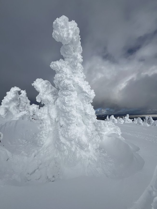 Extremely tall snow ghost on Two Top Mountain