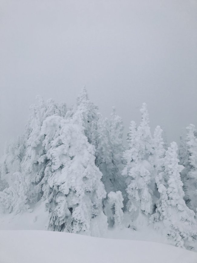 Snow ghosts in whiteout conditions
