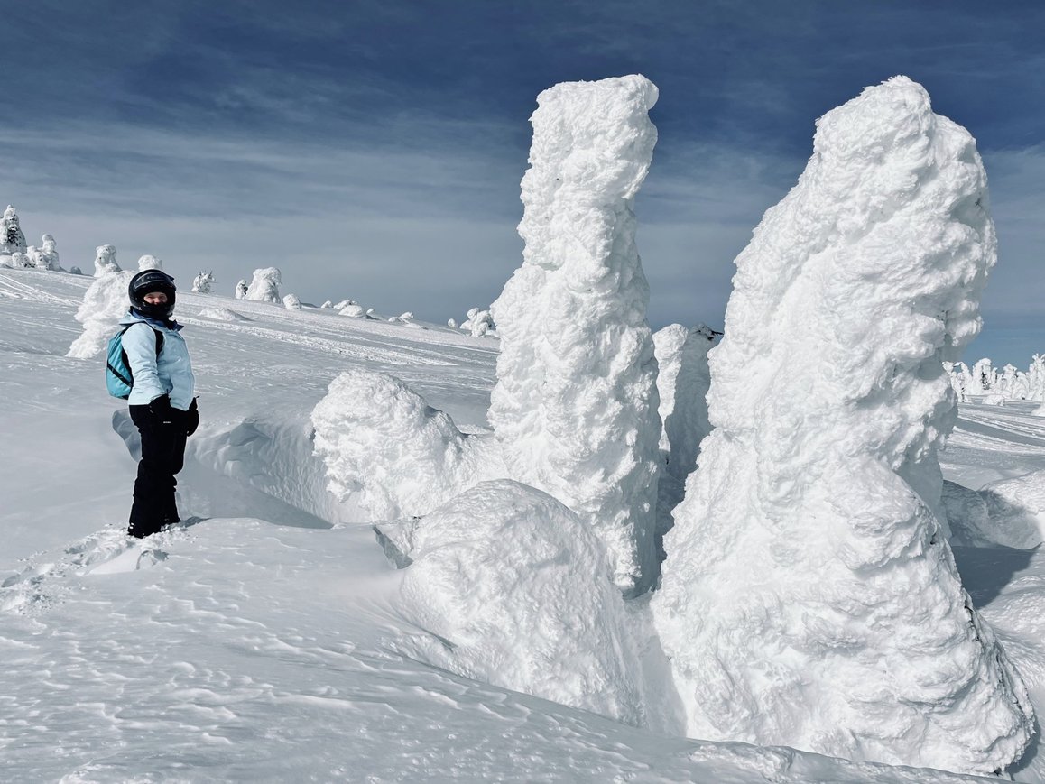 Visitor next to massive snow ghost for scale