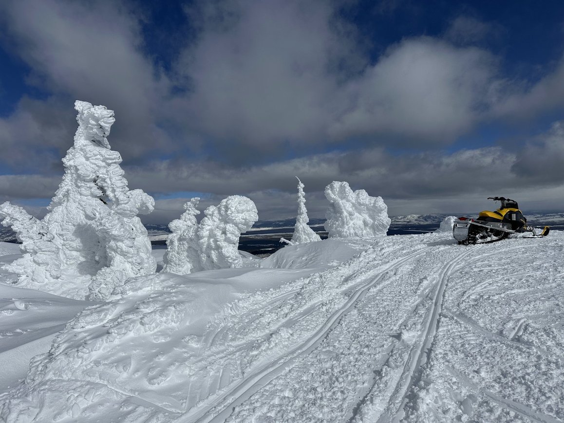 Snowmobile trails through snow ghosts